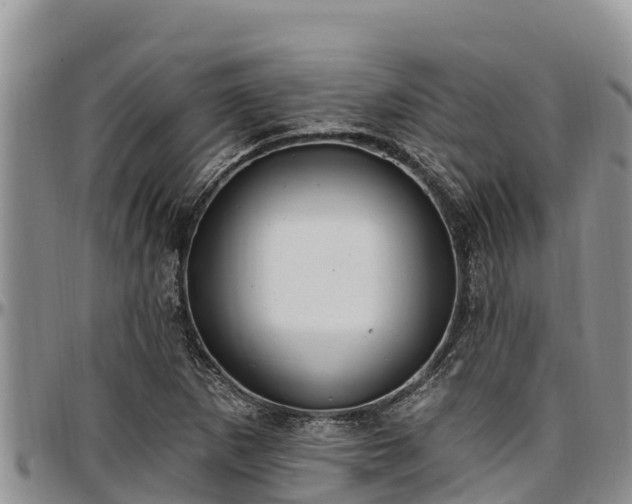 X0000097511265200802291611