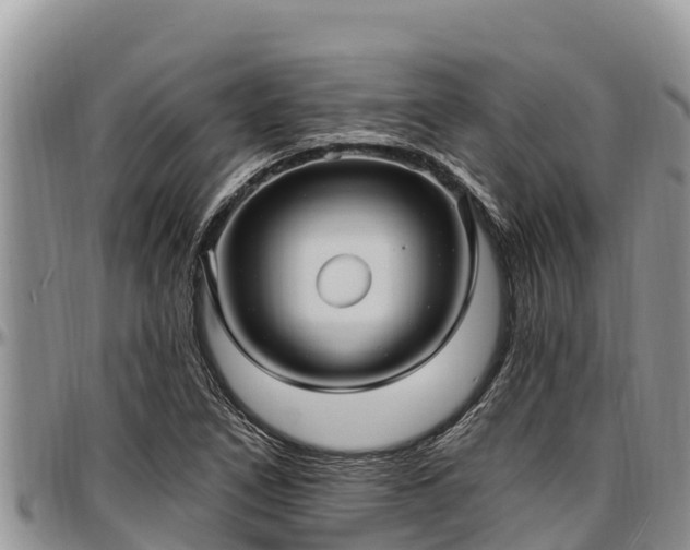 X0000097511266200802291611