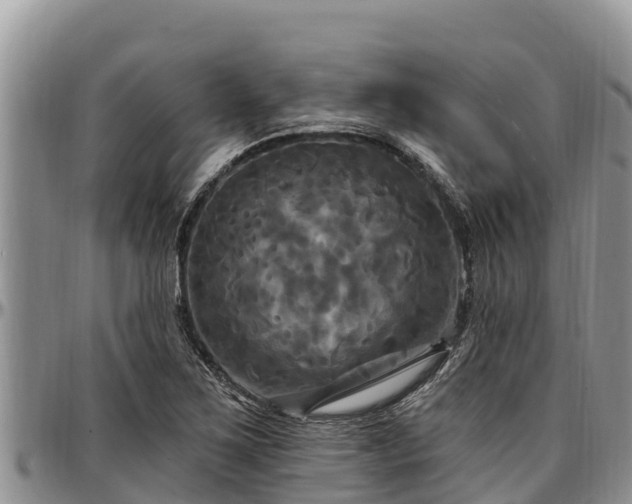 X0000097511267200802291611