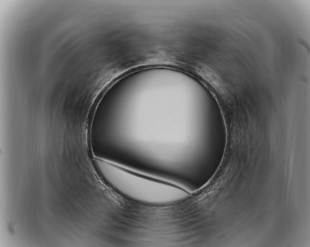 X0000097511268200802291611