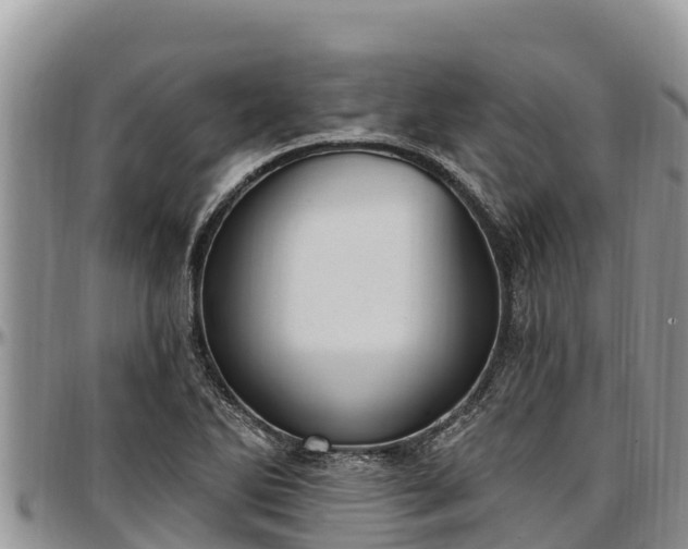 X0000097511270200802291611