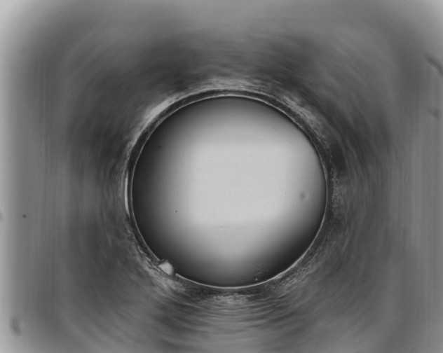 X0000097511272200802291611