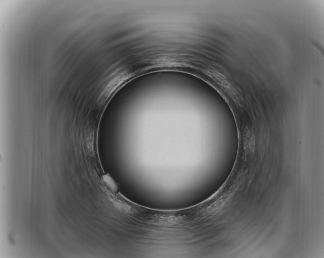 X0000097511273200802291611