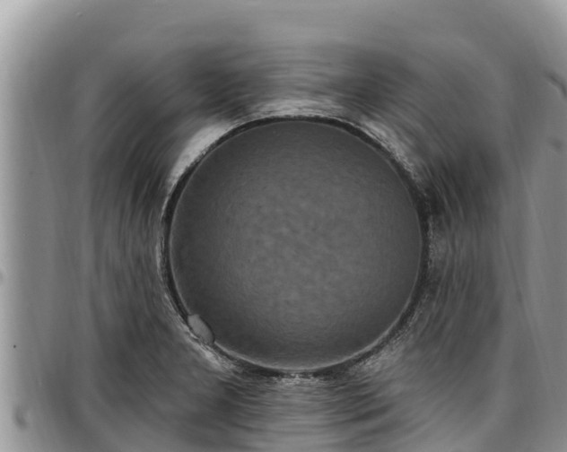 X0000097511277200802291611