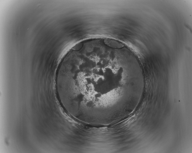 X0000097511279200802291611