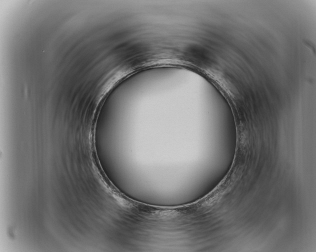 X0000097511282200802291611