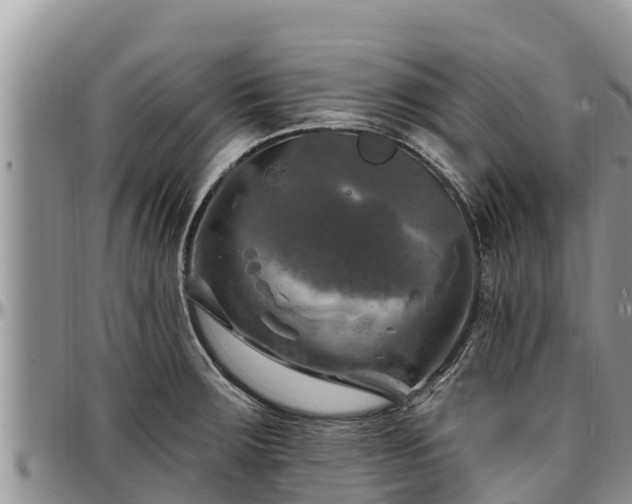 X0000097511283200802291611