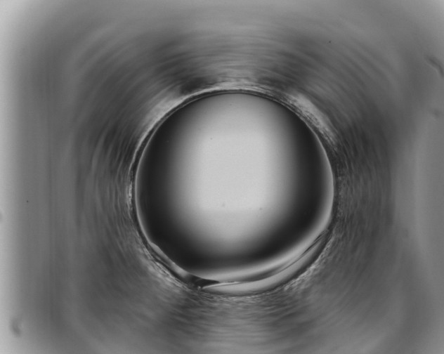 X0000097511284200802291611