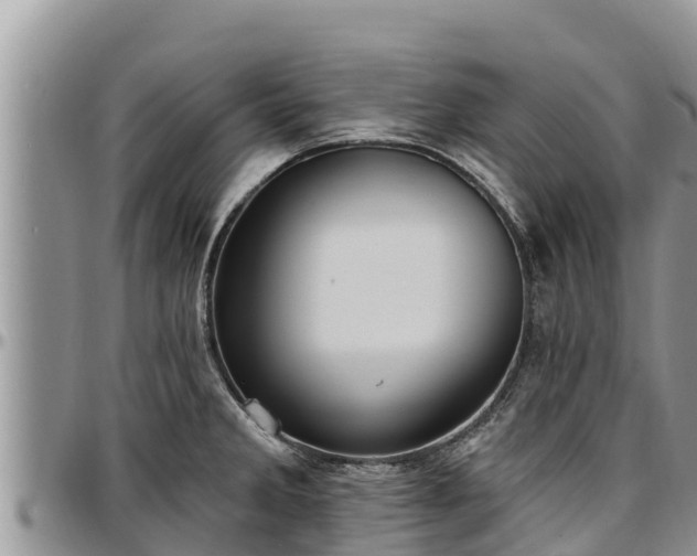 X0000097511285200802291611