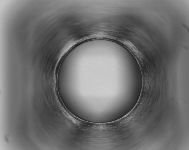 X0000097511286200802291611