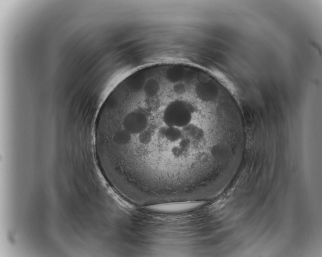 X0000097511287200802291611