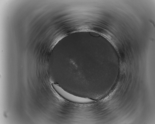 X0000097511289200802291611