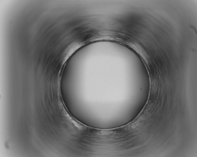X0000097511290200802291611