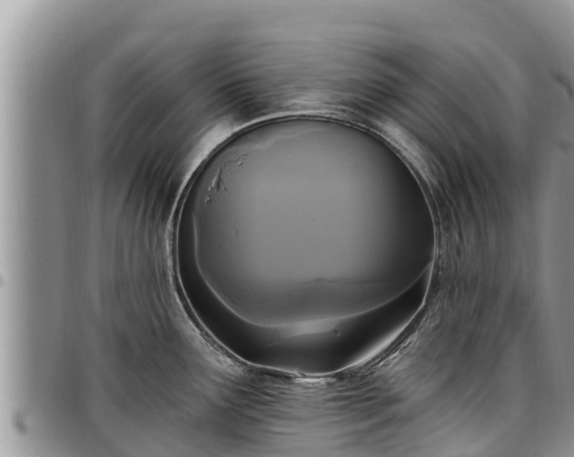 X0000097511291200802291611