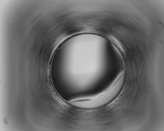 X0000097511292200802291611