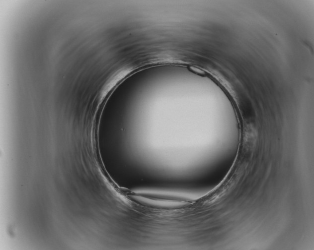 X0000097511293200802291611