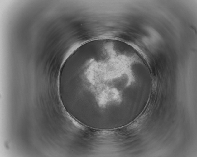 X0000097511294200802291611