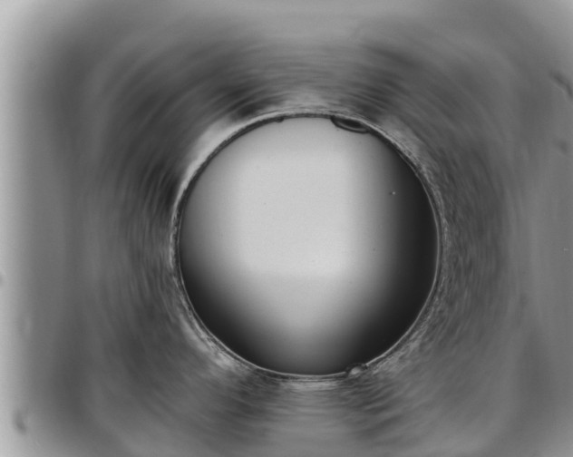X0000097511296200802291611
