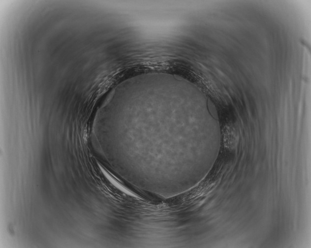 X0000097511298200802291610