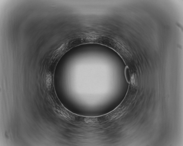 X0000097511299200802291610