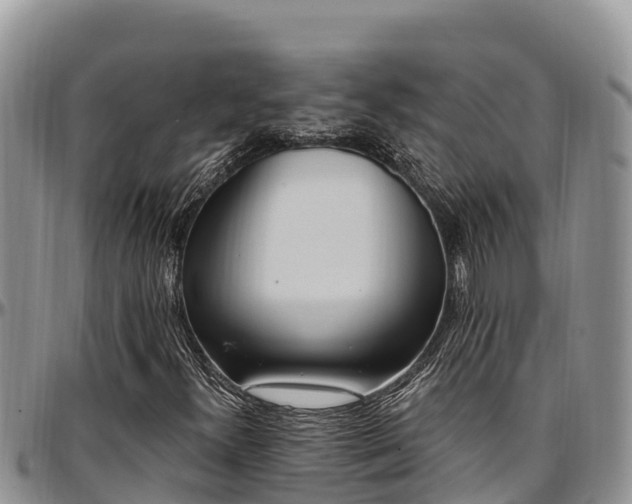 X0000097511300200802291610