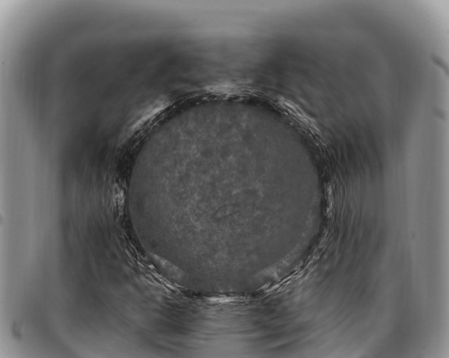 X0000097511302200802291610