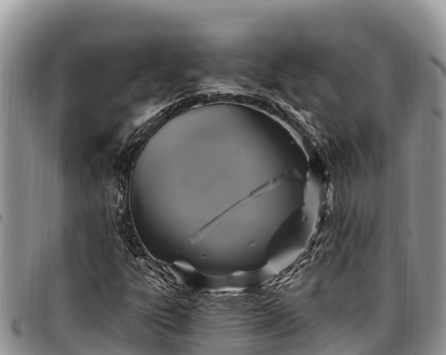 X0000097511303200802291610