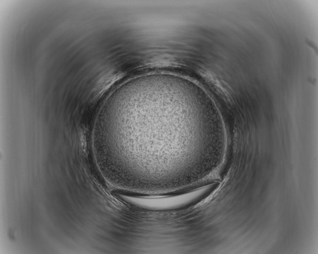 X0000097511305200802291610
