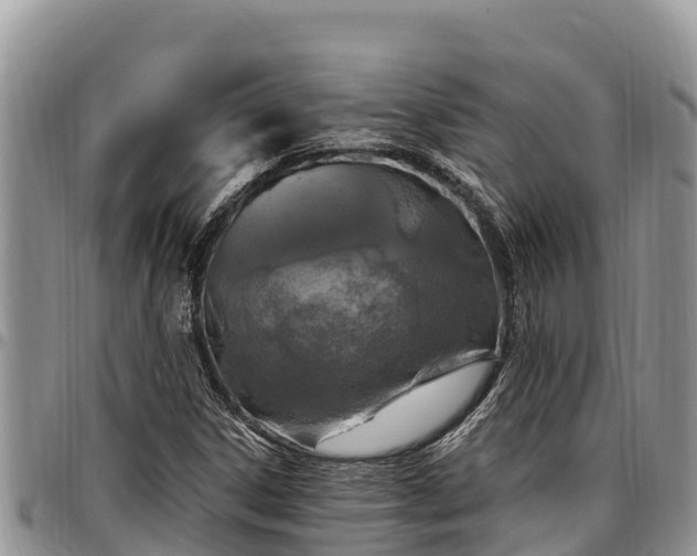 X0000097511306200802291610