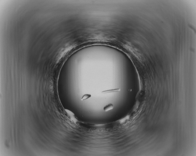 X0000097511307200802291610