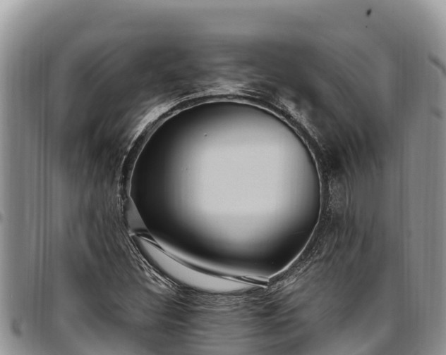 X0000097511308200802291610