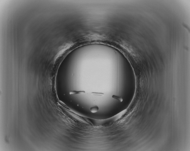X0000097511309200802291610