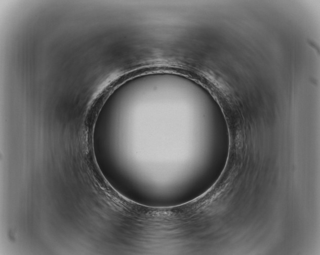 X0000097511310200802291610