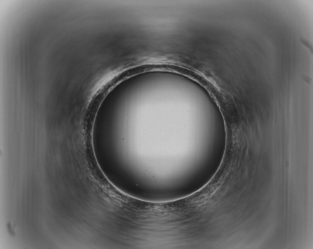 X0000097511311200802291610