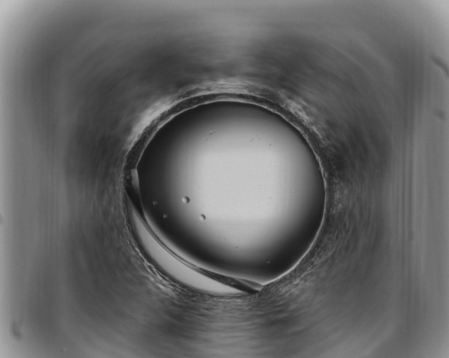 X0000097511312200802291610