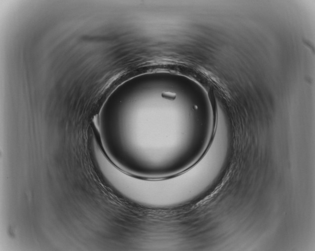 X0000097511313200802291610