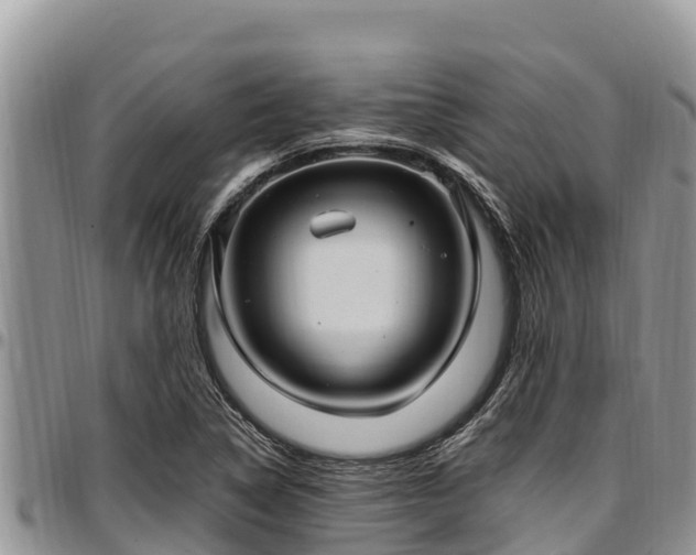 X0000097511314200802291610