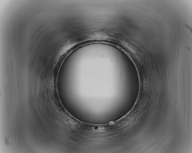 X0000097511315200802291611