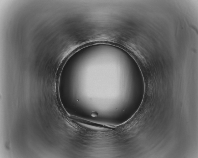 X0000097511316200802291611