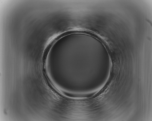 X0000097511319200802291611