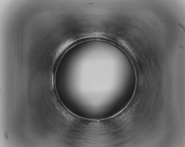 X0000097511320200802291611
