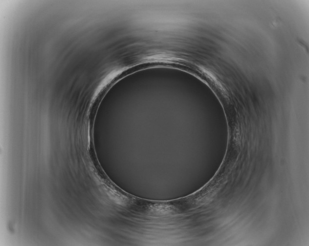 X0000097511323200802291611