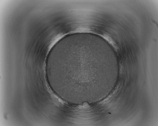 X0000097511325200802291611