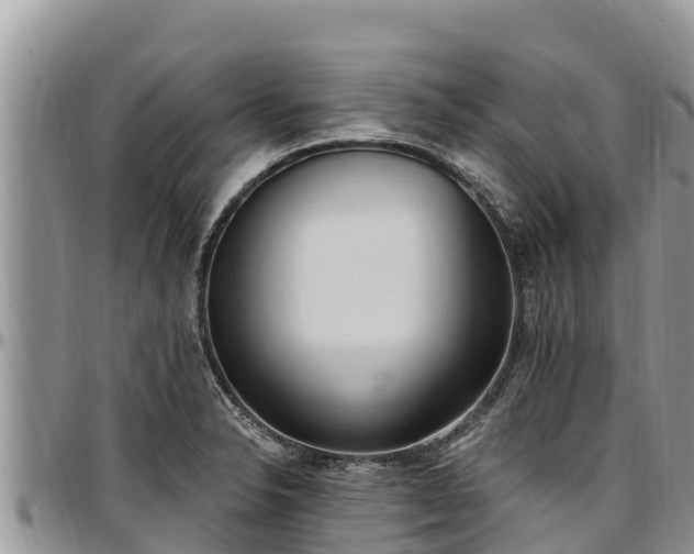 X0000097511326200802291611