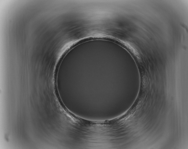 X0000097511327200802291611