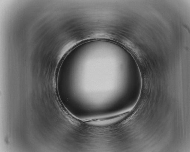 X0000097511328200802291611