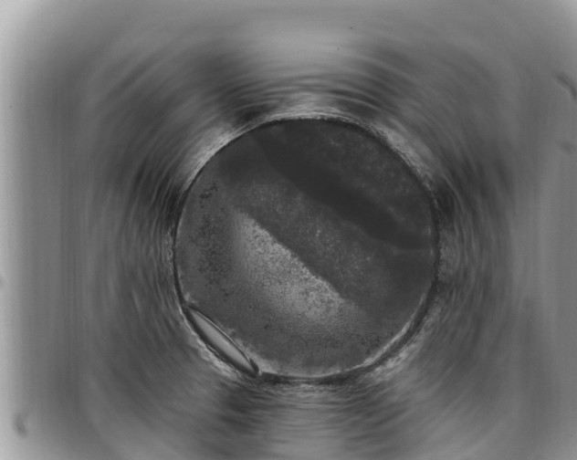 X0000097511329200802291611