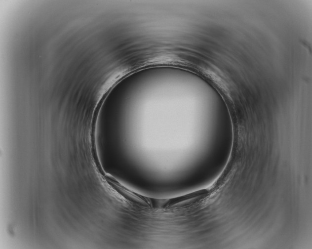 X0000097511330200802291611
