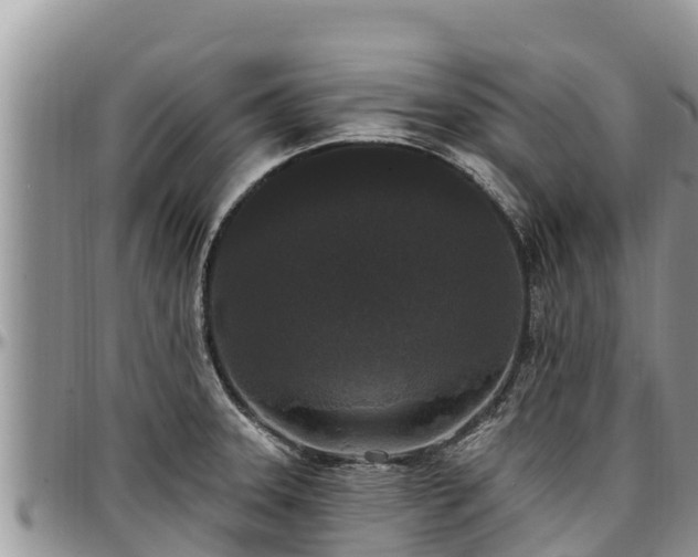 X0000097511331200802291611