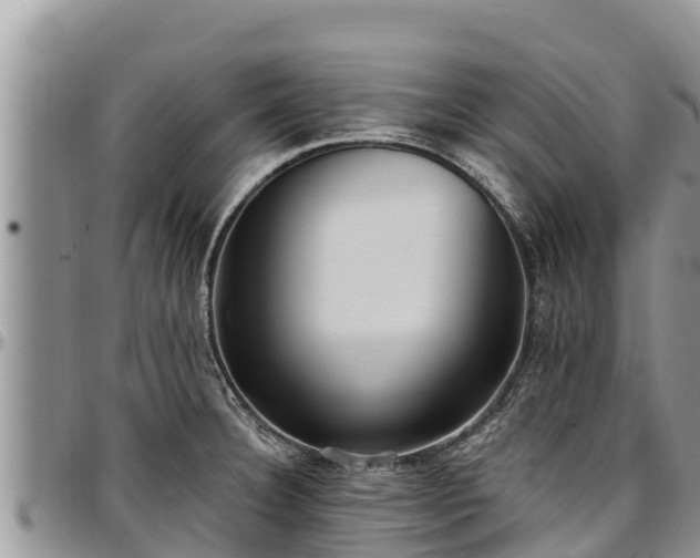 X0000097511332200802291611